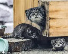 包含'dQ詨o{G崰蔛駐1^?煪.巧X狲?,m+G薣$(暐x曖?p[間?劸從=唽V=卵P?婾餉??萼欥锼r?;'诏z霩噦卍c鸩琺掓酫拧巟!c崈Fm[V?&s玉k滿諠戎*&绫$D的词条